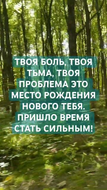 СТАНЬ СИЛЬНЫМ