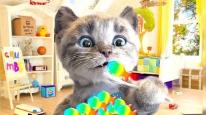 День рождения котенка# солнечн