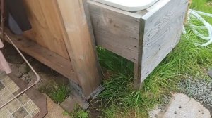 Затопило огород. Наши коты
