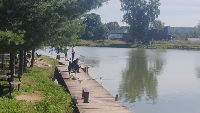Поимка карпа
