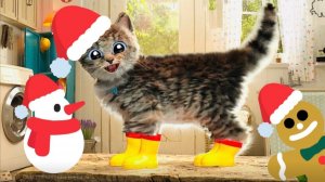 МИЛЫЙ МАЛЕНЬКИЙ КОТЕНОК ПРИКЛЮ