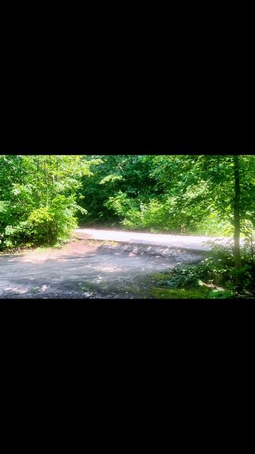 Банни-хоп