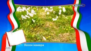 Начало эфира после профилактики (ТВ-Кулоб (Куляб, Таджикистан), 20.07.2026)