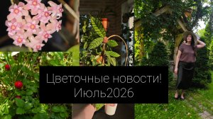 цветочные новости! июль2026