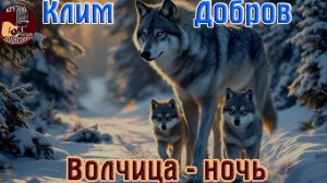 Премьера! Крутой Шансон! КЛИМ ДОБРОВ _ ВОЛЧИЦА - НОЧЬ