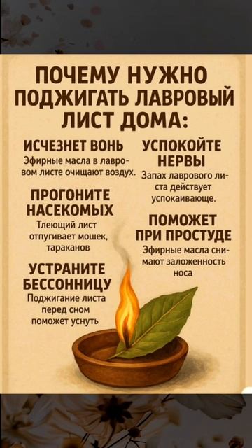 Лафровый лист