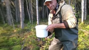 Туманный утро  переход на другой берег.  Повидал пернатые куропатки . Собрал черника 5 литров .