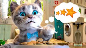 МИЛЫЙ МАЛЕНЬКИЙ КОТЕНОК ПРИКЛЮ