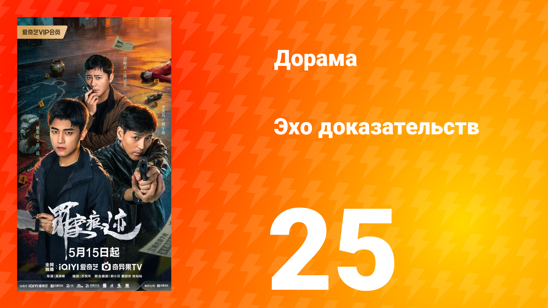 Эхо доказательств 25 серия смотреть онлайн