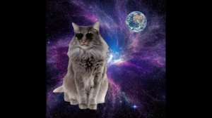 Радостные лица котиков шаблон