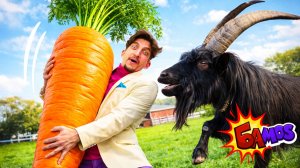 Бамос! Артём на городской ферме: северный олень, альпака, козы и гуси 🦌🐐 | Для детей