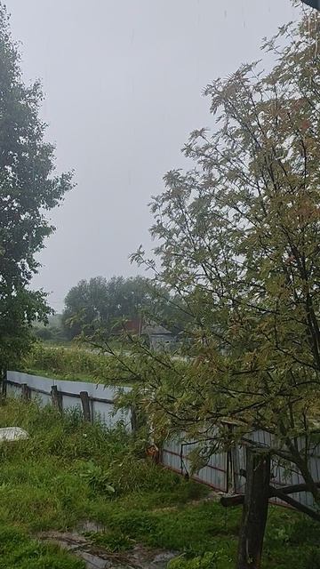 Природа, природные явления