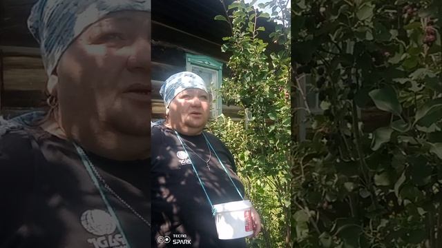 Я опять ягоду собираю, хорошего денёчка 🤗 смотреть онлайн