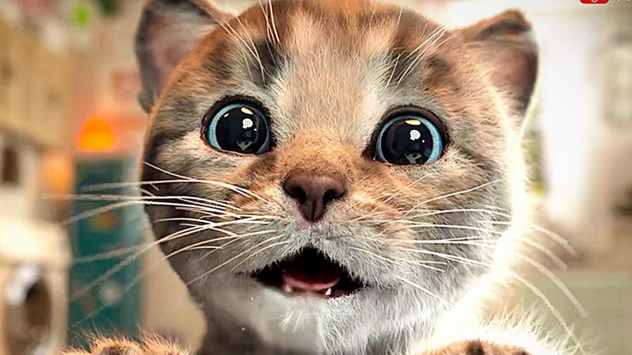 МИЛЫЙ КОТЕНОК ⭐ ПРИКЛЮЧЕНИЯ 😺