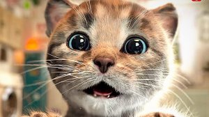 МИЛЫЙ КОТЕНОК ⭐ ПРИКЛЮЧЕНИЯ 😺