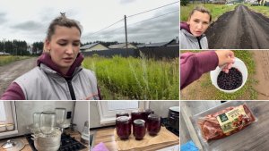 Деревенская жизнь🏡 сделали с соседями дорогу/ сходили за иргой/ закрыла компоты/ вкусный шашлык
