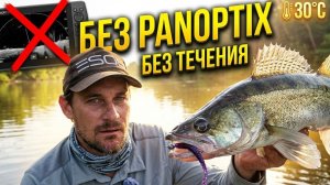 Без Panoptix на реке, в поисках трофея. Жара, теплая вода без течения, сел аккум, пора ловить судака