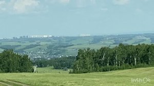 В поисках грибов 🌲🍄🌳