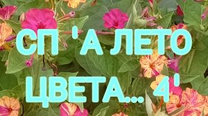 СП « А лето цвета...4». 4 отчет, участник 23.