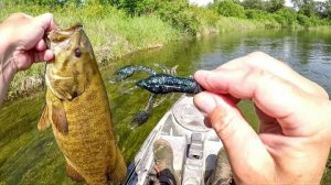 Ловля крупных малоротых окуней в чистой воде. Увлекательная рыбалка