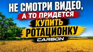 Эксперимент по пшенице ! Досмотреть видео до конца КОММЕНТАРИИ будут излишни!