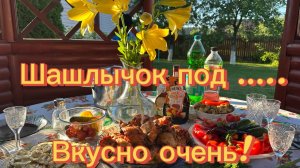 Куриный  шашлык, овощи гриль,  проводим прекрасно выходные на даче!