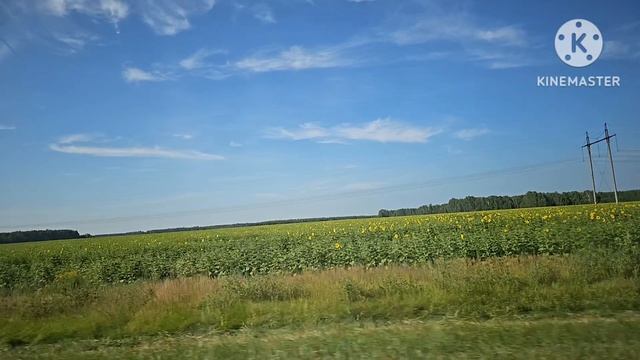 20-07-2026. ДОРОГА К ОЗЕРУ МЕДВЕЖЬЕ смотреть онлайн