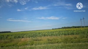 20-07-2026.  ДОРОГА К  ОЗЕРУ МЕДВЕЖЬЕ