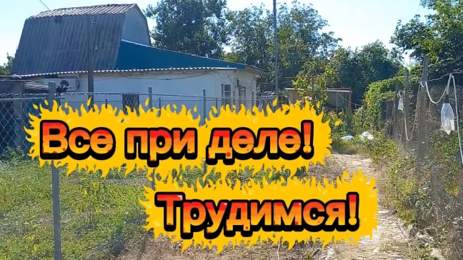 Все при деле...трудимся. Первый арбузик. смотреть онлайн
