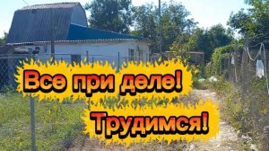 Все при деле...трудимся. Первый арбузик.