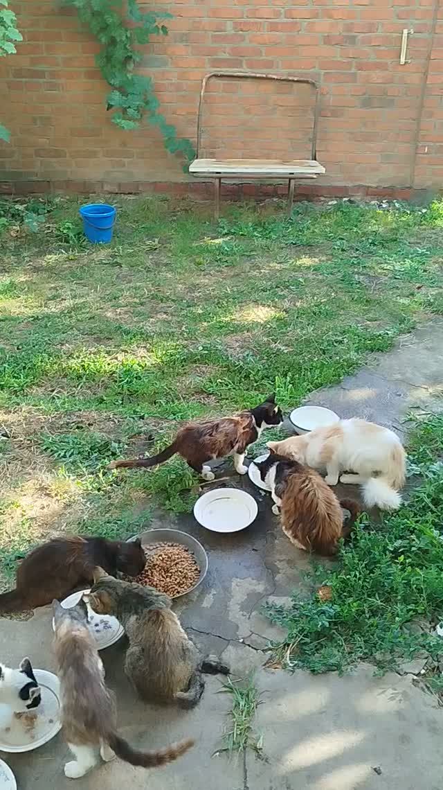VID_20260716_173008
