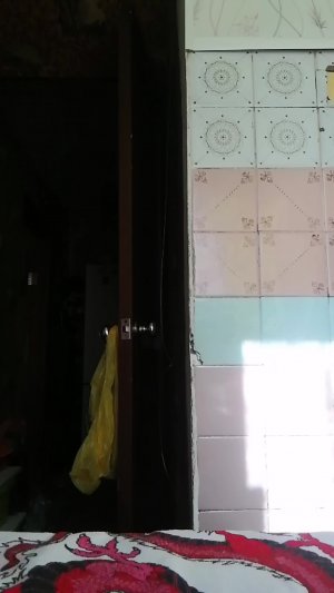 Всякое разное