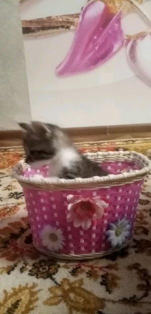 Кузе 5 месяцев😃😻❤️👏🥳