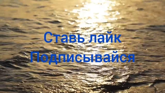 подаишись подаишись