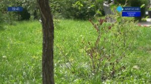 ПОЛНОЕ ПРОЦВЕТАНИЕ «СУПЕРРЕСПУБЛИКИ» В «ГОРодЕ ДЛЯ ЛЮДЕЙ» ОТ БРО «ЕДИМ РОССИЮ»
