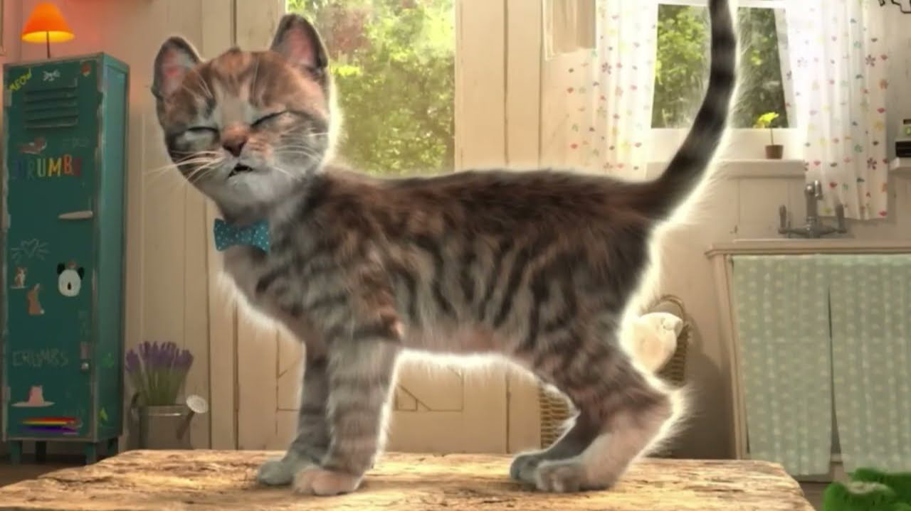Анимированный маленький котёно смотреть онлайн