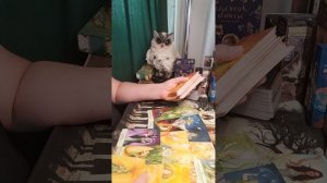 Поток о Вас❤ 🌷💫