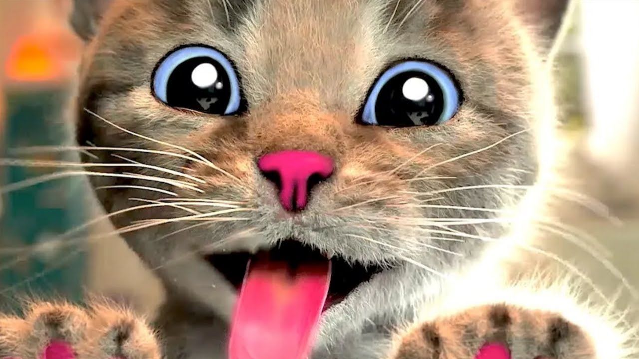 Анимированные приключения коте
