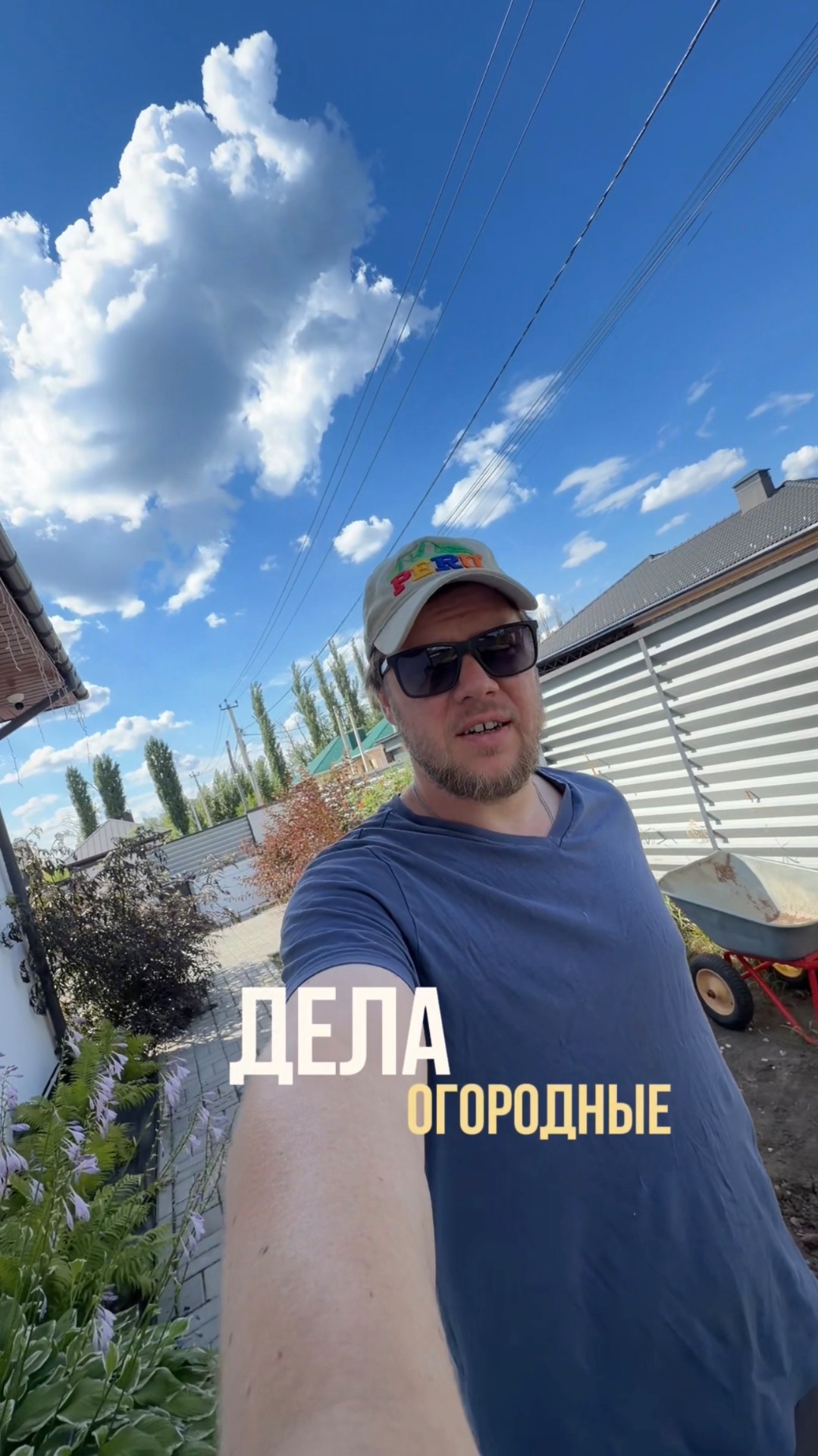 Дела огородные 🪏