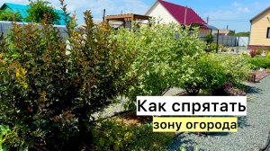 Рабочий ВЛОГ! Однолетники сгорели от жары, последняя стрижка кустарников в этом сезоне