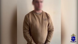 В Тольятти разоблачены пятеро участников группы, работавших в одной связке с зарубежными аферистами