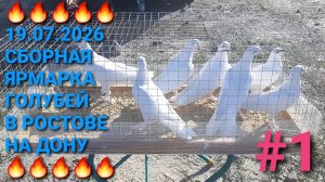 🔥🔥🔥 19.07.26 Сборная ярмарка голубей в Ростове на Дону. Птичий рынок.