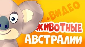 Животные Австралии для детей – Учим слова и названия зверей!