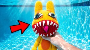 🌊🔍 Я нашел ГИГАНТСКУЮ аномалию в своем бассейне!😱 Больница для животных! Роблокс. Animal Hospital