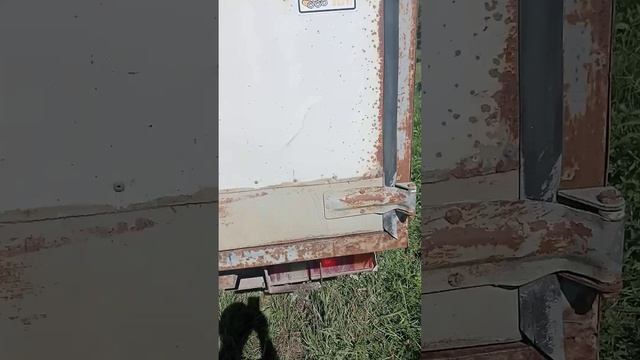 1000002569.mp4 смотреть онлайн