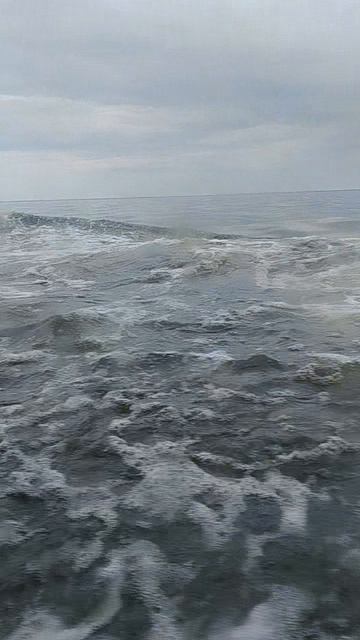 Рыбинское водохранилище