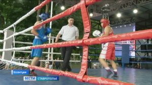 В Ессентуках прошел III Открытый Кубок главы города по боксу и единоборствам