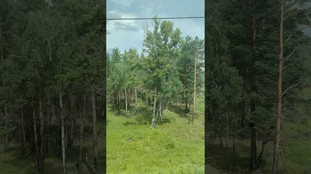 Из Тайшета в Красноярск РЖД