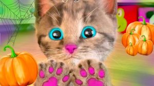 Приключение маленького котенка