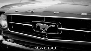 X ALBO - VROOM (ORIGINAL MIX)
